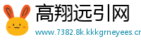 高翔远引网